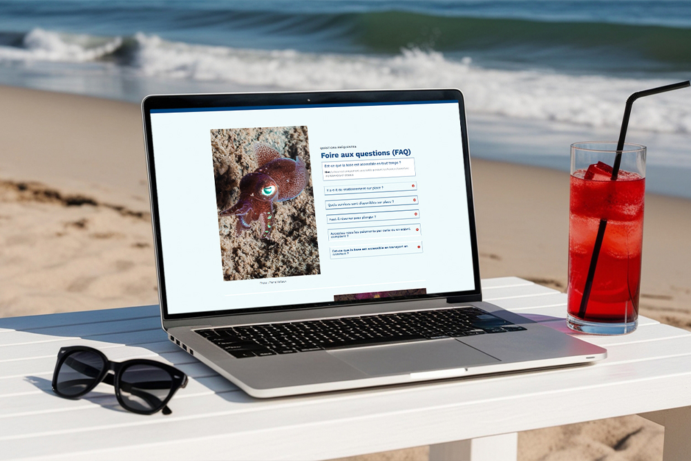 Conception site Web fédération pour Québec Subaquatique