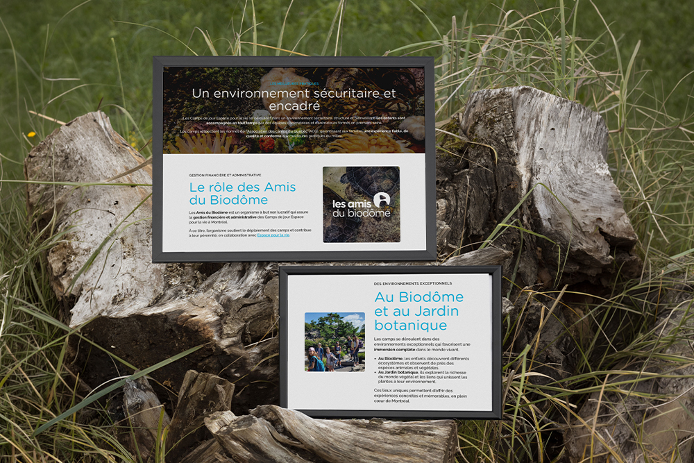 Réalisation de site Web bilingue pour Les amis du Biodôme