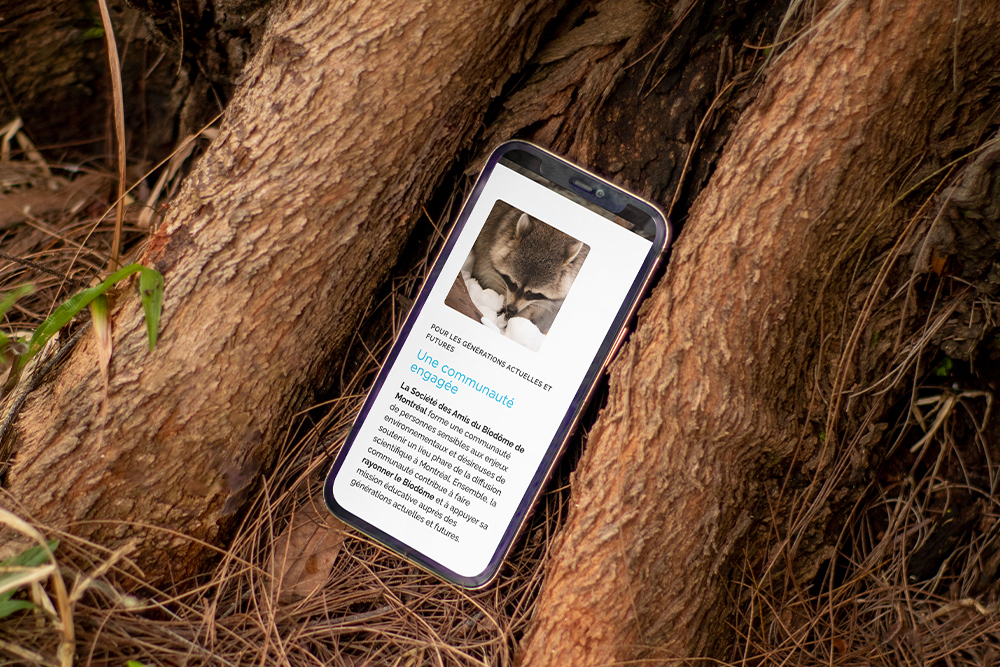 Réalisation de site Web bilingue pour Les amis du Biodôme